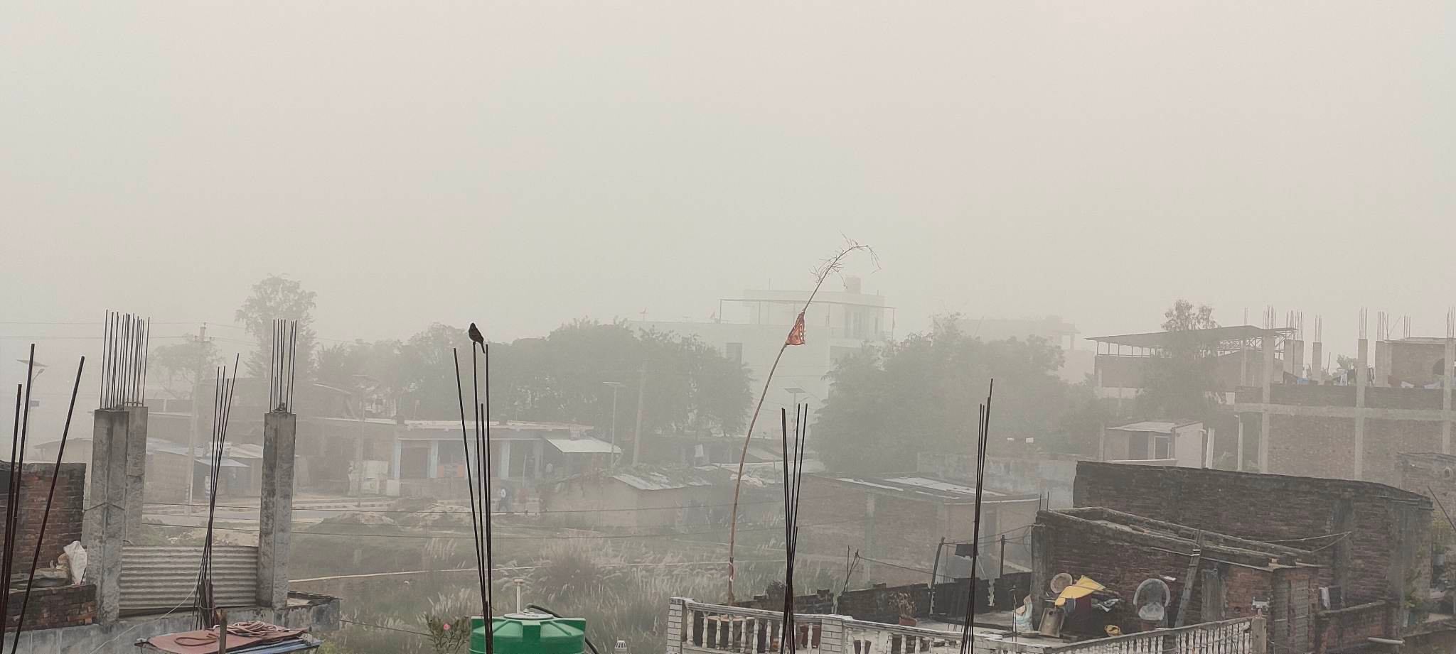 आज शनिबार देखी एकासी चिसो बढयो