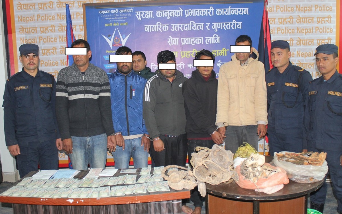 कैलालीमा नक्कली नोट, बाघको हड्डी र जडीबुटीसहित ५ जना पक्राउ