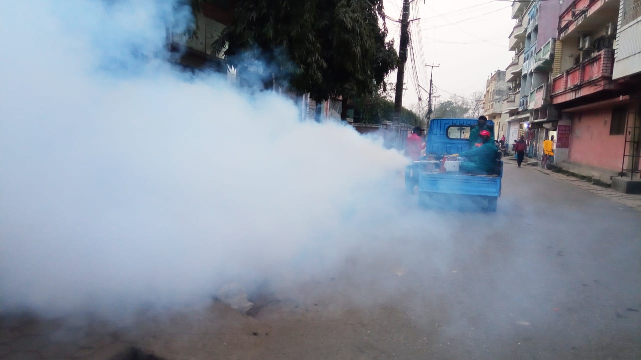 लामखुट्टे नयिन्त्रणका लागि वीरगञ्ज महानगरले औषधी छर्न थाल्यो