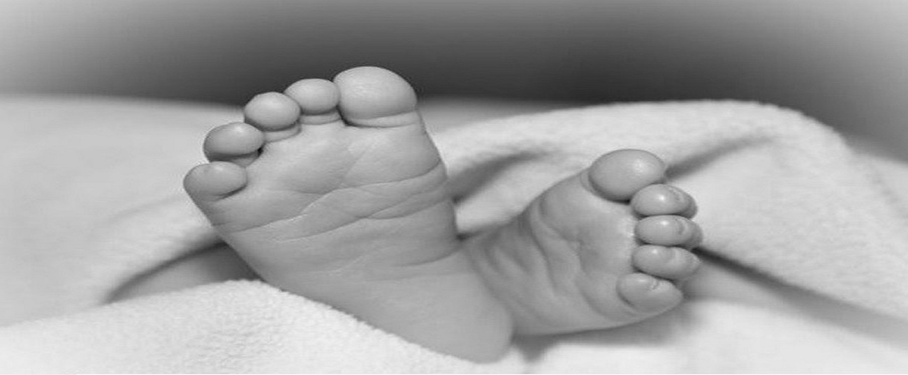वीरगञ्जमा ई–रिक्सा पल्टिदा १८ महिने वालकको मृत्यु