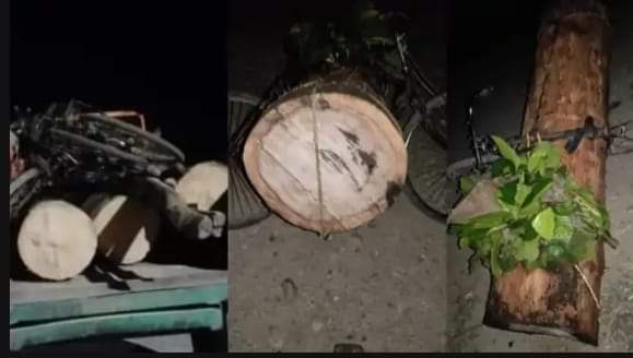 सालकाे गाेलीया काठ र साइकल बरामद