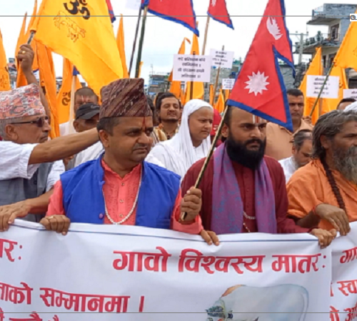 धरानमा गाई/गोरु काटेर भोज गरिएको विरोधमा र्‍याली