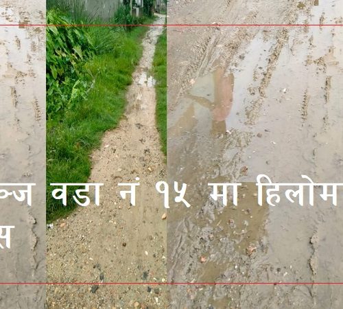 वीरगञ्ज वडा- १५ नयाँ वस्ती भिस्वामा हिलोमय विकासले वर्षाको समयमा स्थानिय निरास