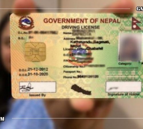 २८ हजार ४ थान लाइसेन्सको नम्बर मात्र इन्ट्री