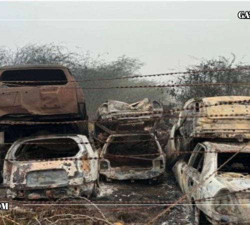 भारतको राजधानी दिल्लीमा भीषण आगलागी, ४ सयभन्दा बढी निजी सवारीसाधन जलेर नष्ट