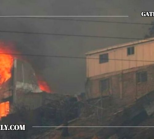 चिलीमा भीषण आगलागी , ५१ जनाको मृत्यु ,करिब १ हजार १ सय घर जलेर