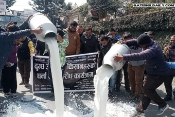 दुध किसानले अझै पाएनन् बक्यौता