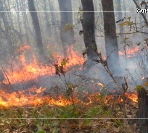 डढेलो निभाउने क्रममा लडेर धादिङमा एक जानको मृत्यु