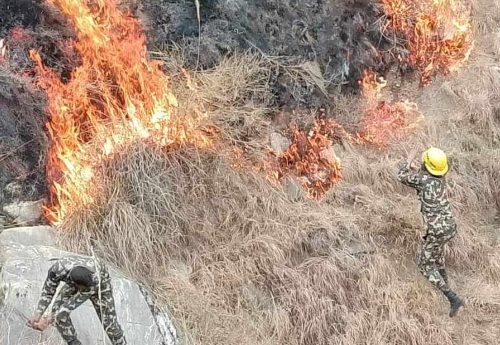 वनमा आगो निभाउने क्रममा घाइते भएका चार सैनिकमध्ये तीनजनाको मृत्यु