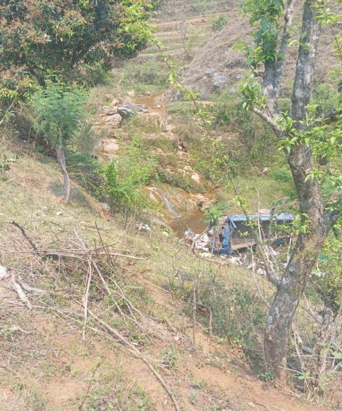 दाउने खोलामा मिनी ट्रक दुर्घटना: एक बालकको मृत्यु, पाँचसहित आठजना घाइते