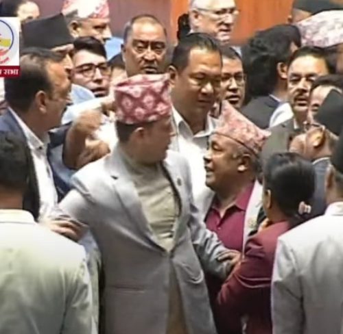 संसदमा झण्डै हात हालाहाल