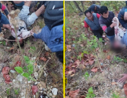 मकवानपुरमा बिद्युतीय माइक्रोबस दुर्घटना: २ जनाको मृत्यु, १४ जना घाइते