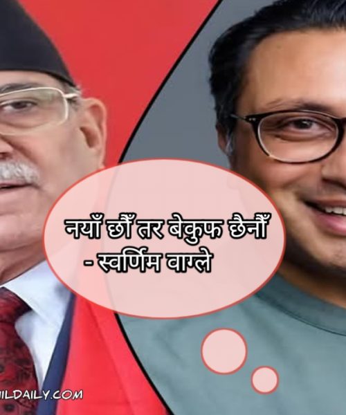 “नयाँ छौँ तर बेकुफ छैनौँ” – स्वर्णिम वाग्ले