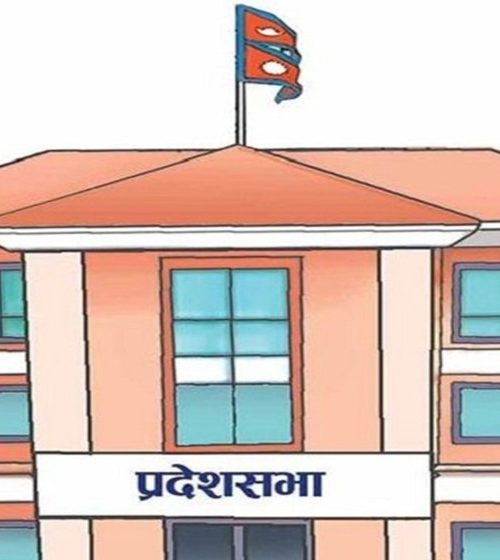 प्रदेश सरकारको १० महिने अपलब्धि : अनुदानमा निर्भर, कार्यान्वयनमा कमजोर